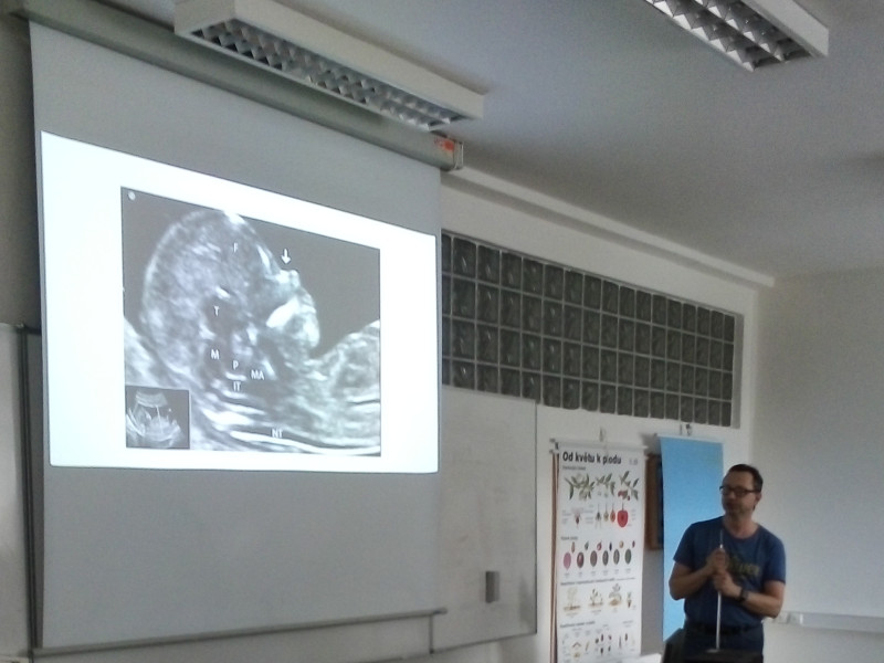 Péče o těhotné v České republice